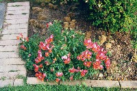 031_28.JPG